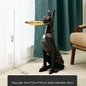 "Stunning Nordic Art Doberman Dog Statue - Large Resin Sculpture for Elegant Living Room Decor"